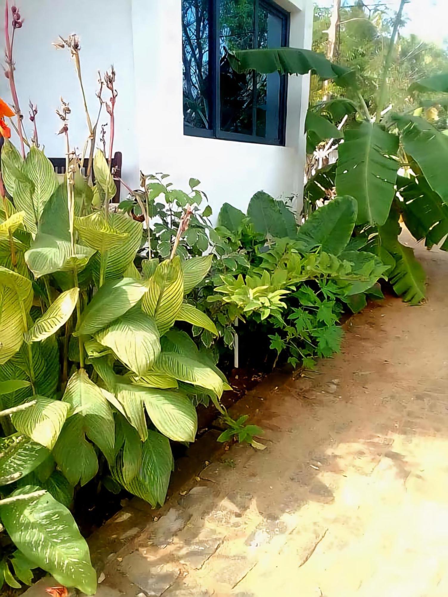 Bungalow Ramena Beach Antsiranana Andjamen Extérieur photo